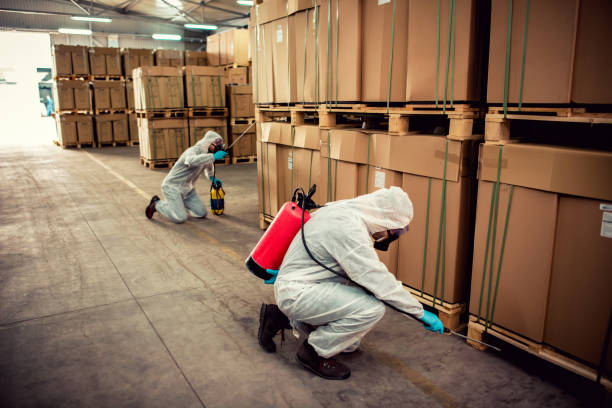 Best Pest Inspection Near Me  in Winterville, GA