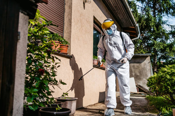 Best Mosquito Control Services  in Winterville, GA
