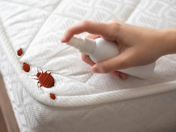 Best Best Pest Control Companies  in Winterville, GA
