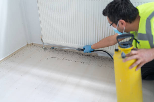 Best Flea Control Services  in Winterville, GA