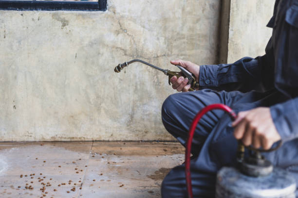 Best Ant Control Services  in Winterville, GA